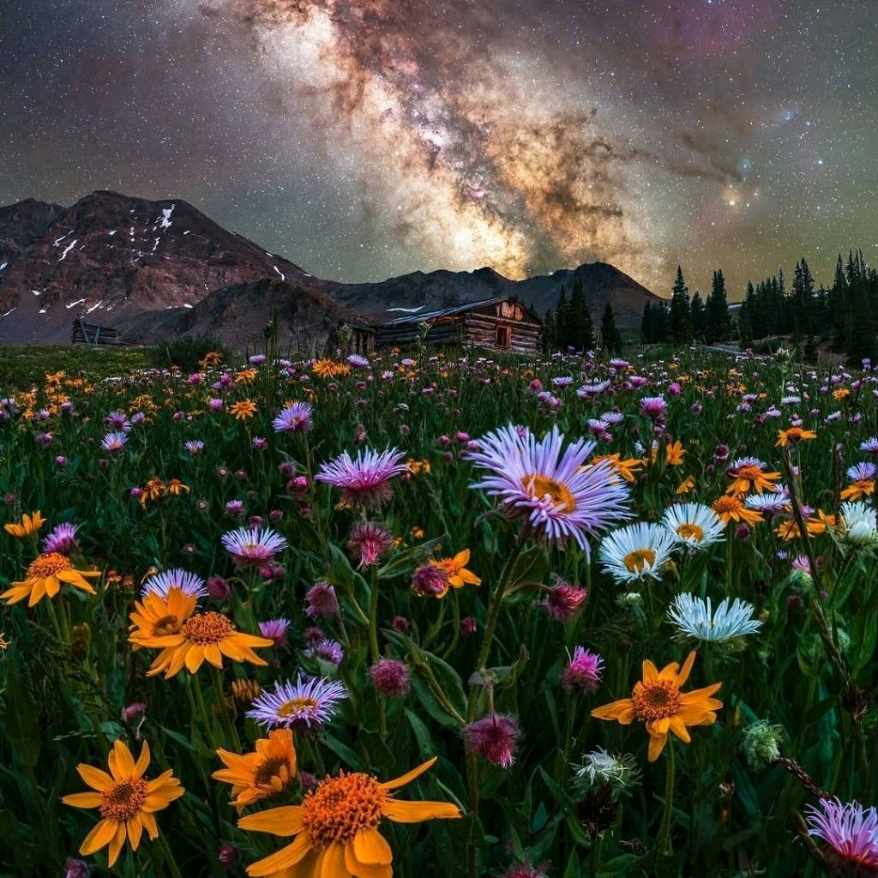 دانلود آهنگ امشب شبه با حالاست کف بزنید ایولا دستا بالا